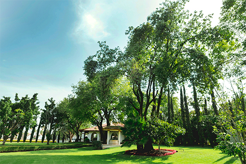 Experiencias San Francisco